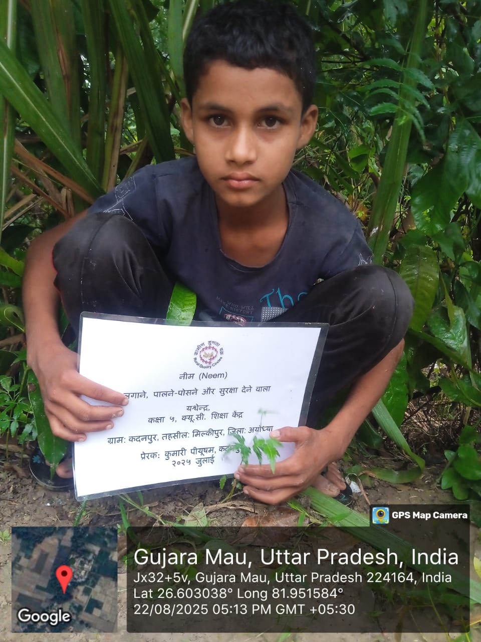 Neem (नीम) Tree Taken Care By: Yashwendra