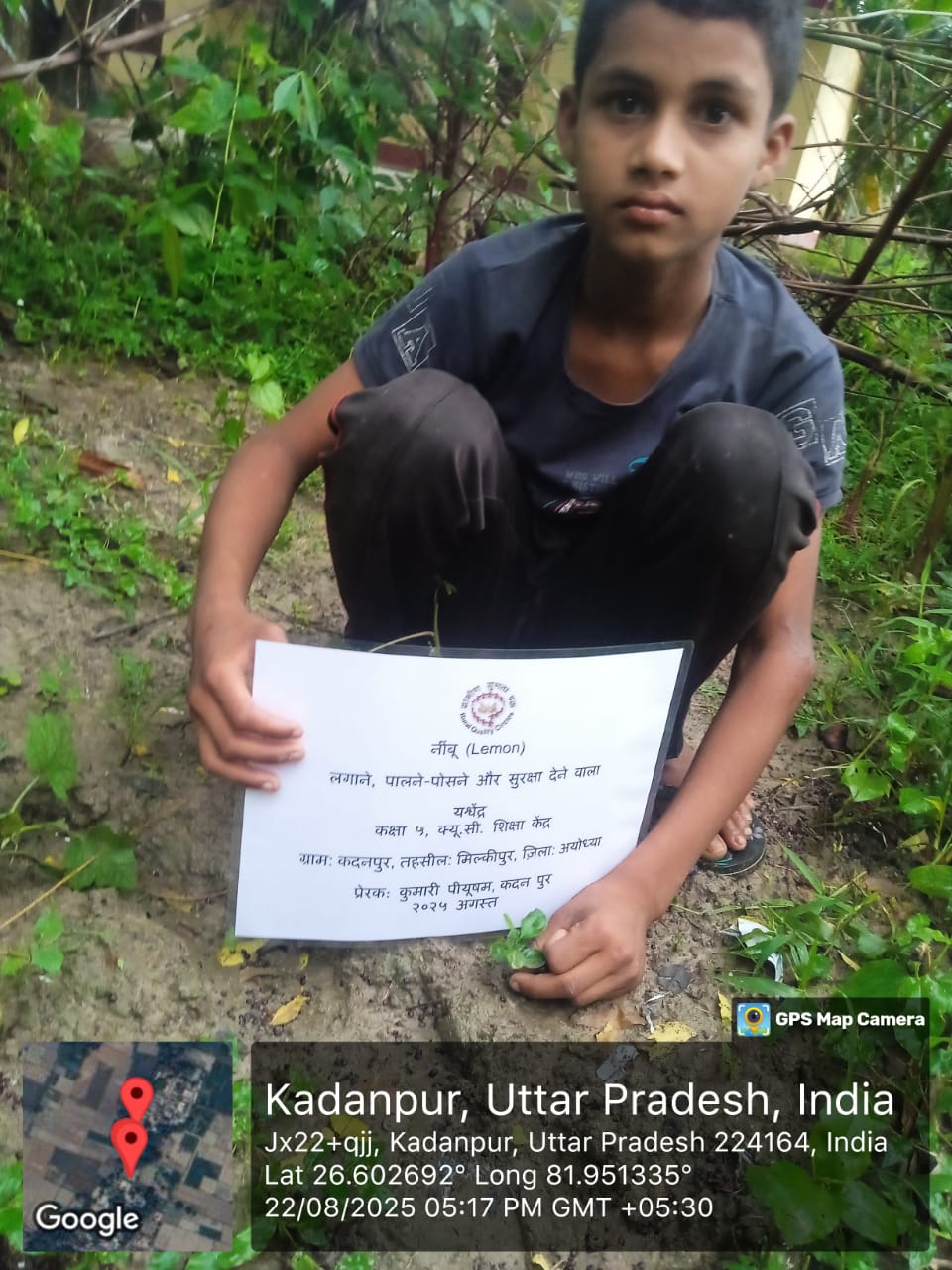 Lemon (नींबू) Tree Taken Care By: Yashwendra