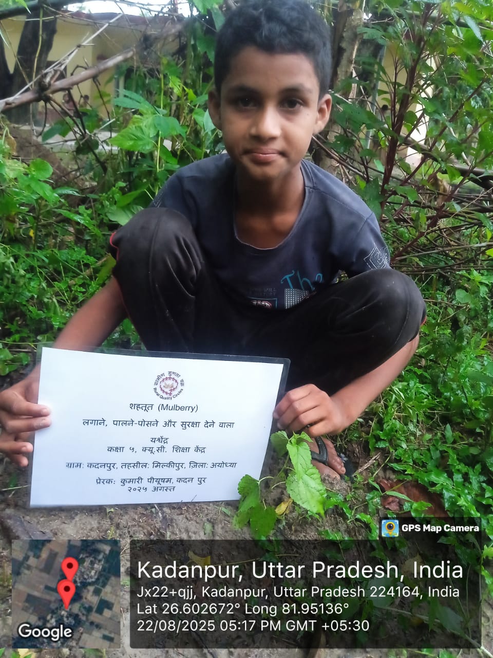 Mulberry (शहतूत) Tree Taken Care By: Yashwendra