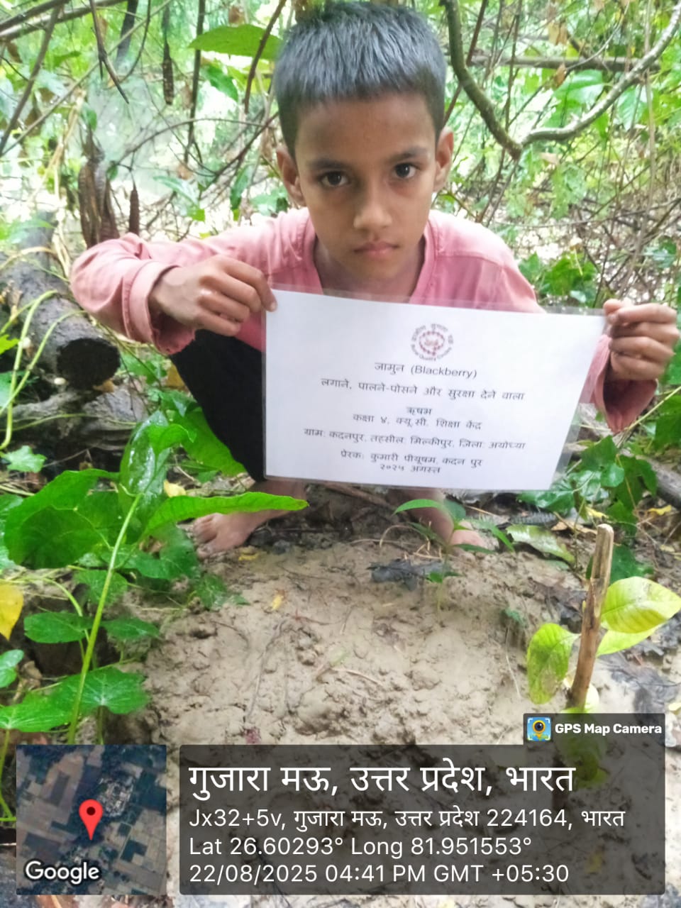 Blackberry (जामून) Tree Taken Care By: Rishabh