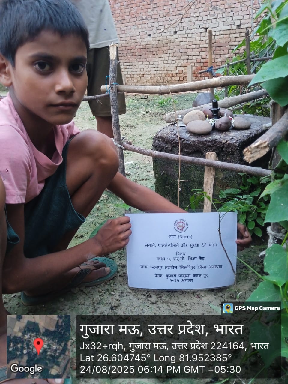 Neem (नीम) Tree Taken Care By: Vinay