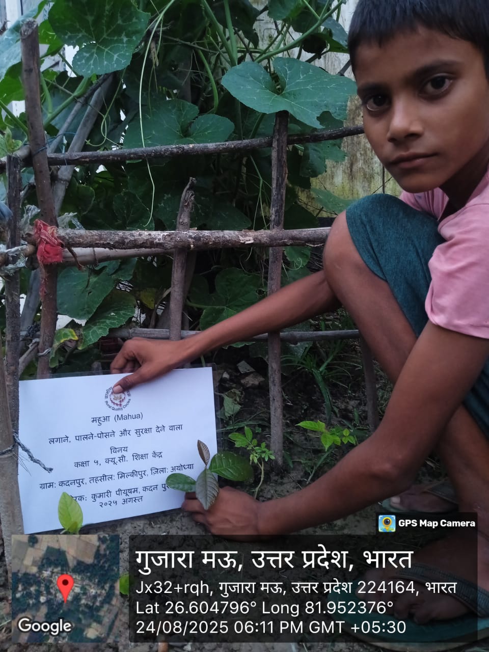 Mahua (महुआ) Tree Taken Care By: Vinay