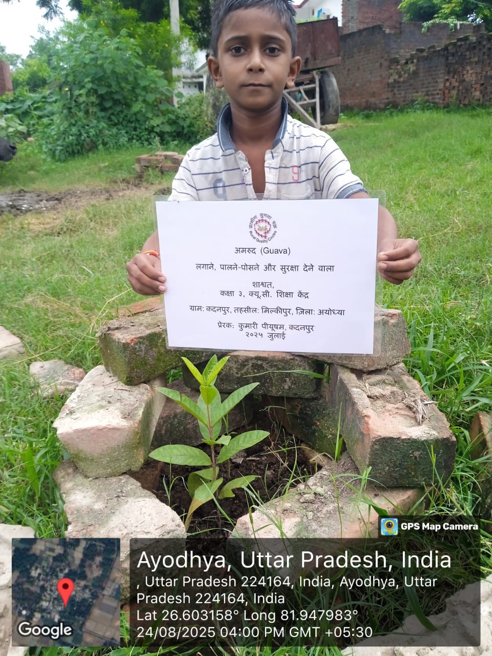 Guava (अमरूद) Tree Taken Care By: Sashwat