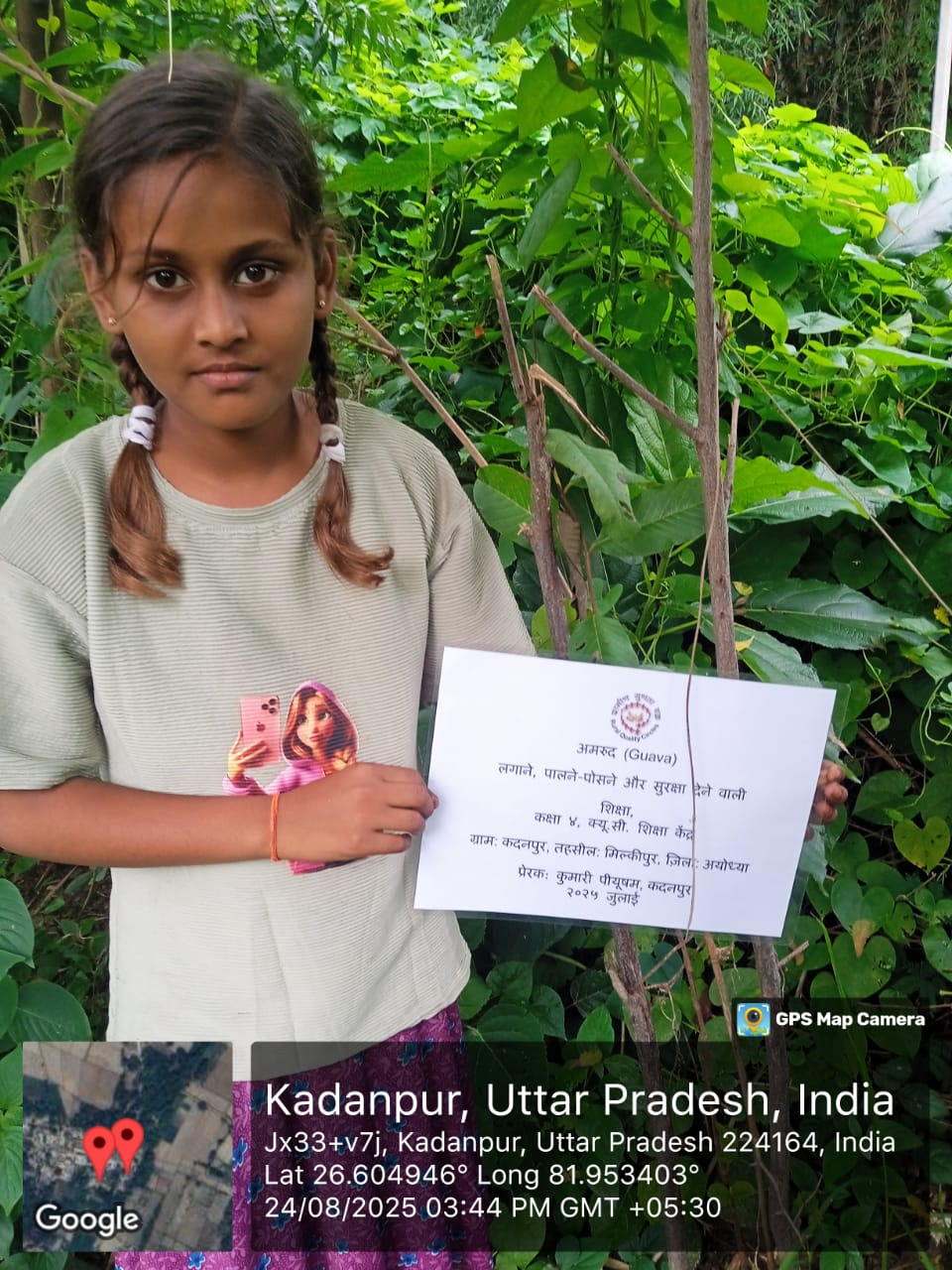 Guava (अमरूद) Tree Taken Care By: Siksha