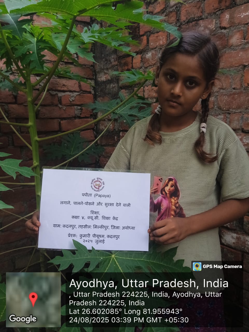Papaya (पपीता) Tree Taken Care By: Siksha