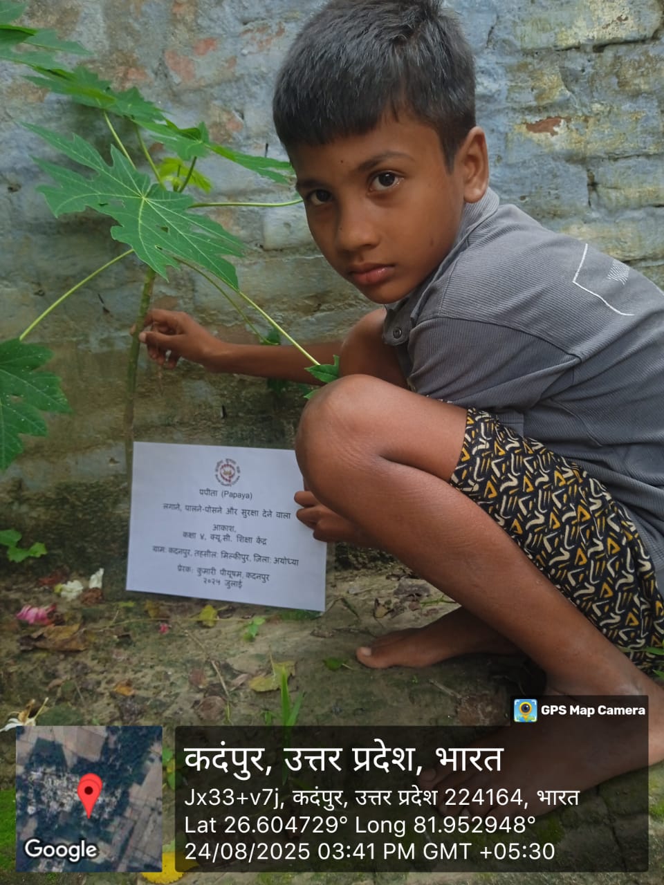 Papaya (पपीता) Tree Taken Care By: Aakash