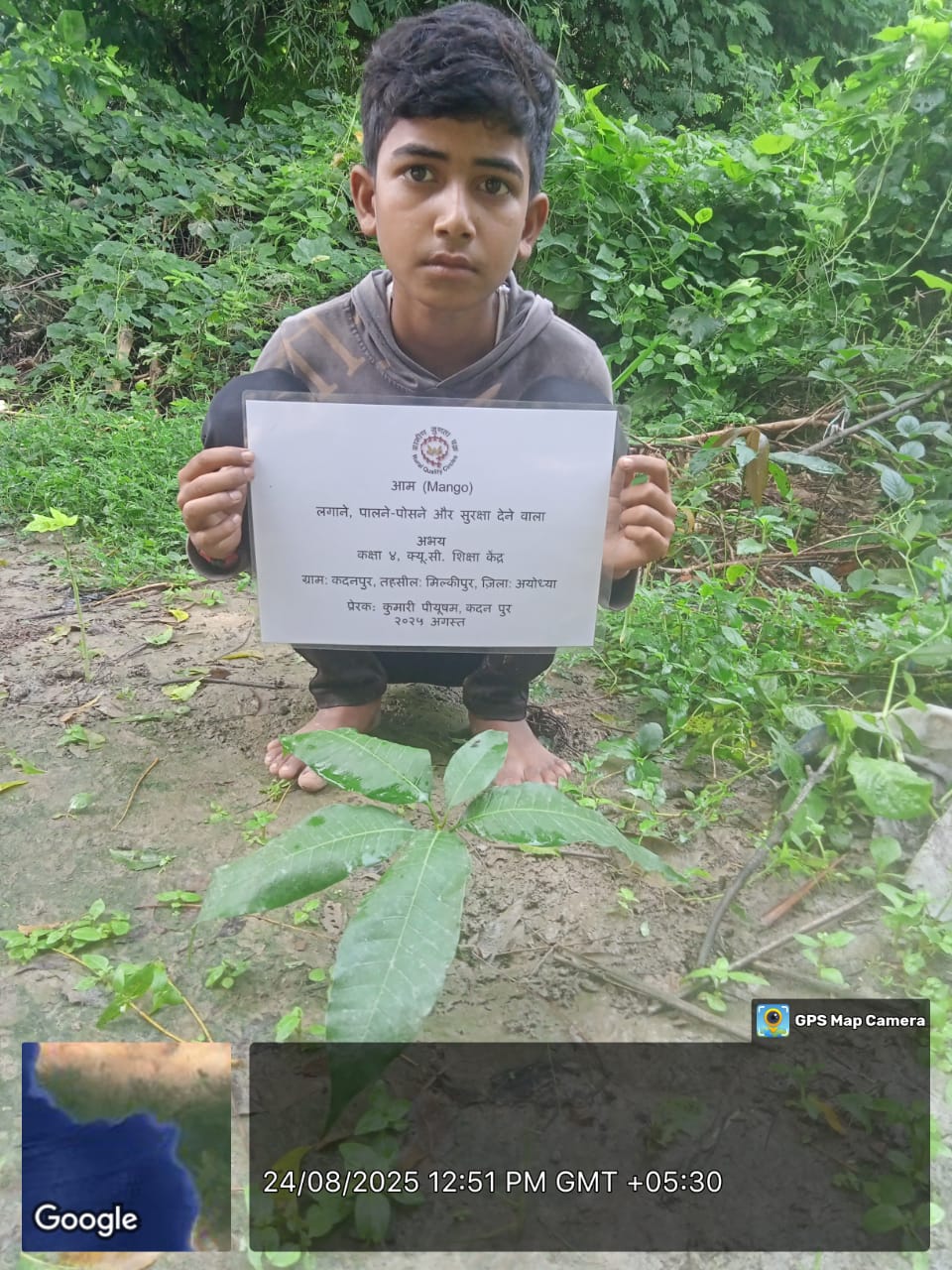 Mango (आम) Tree Taken Care By: Abhay