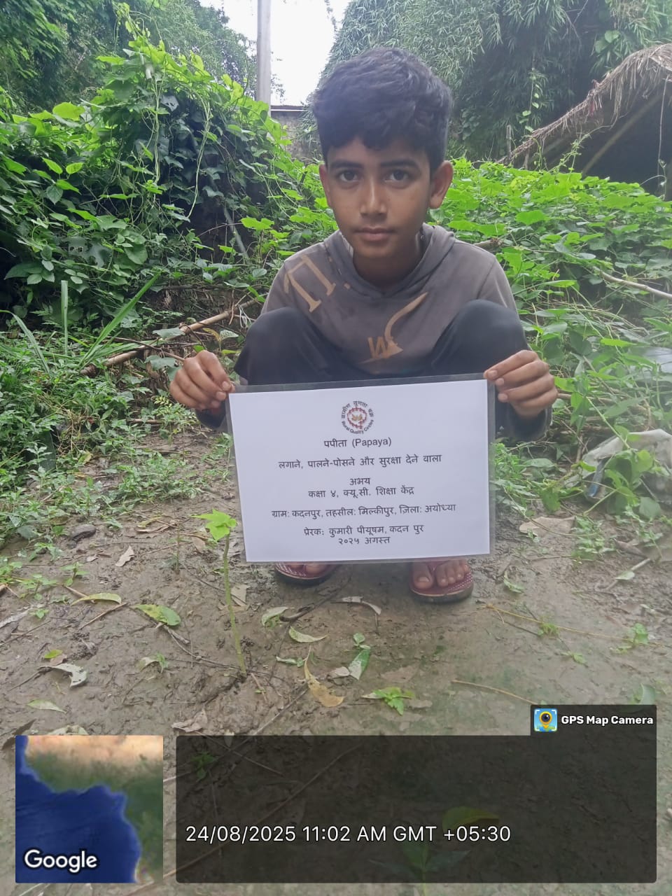 Papaya (पपीता) Tree Taken Care By: Abhay