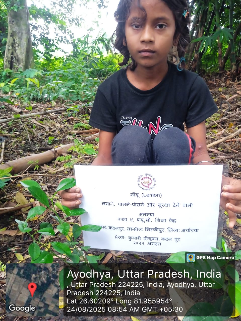 Lemon (नींबू) Tree Taken Care By: Ananya