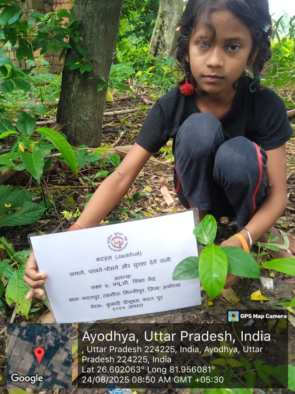 Jack Fruit (कटहल) Tree Taken Care By: Ananya