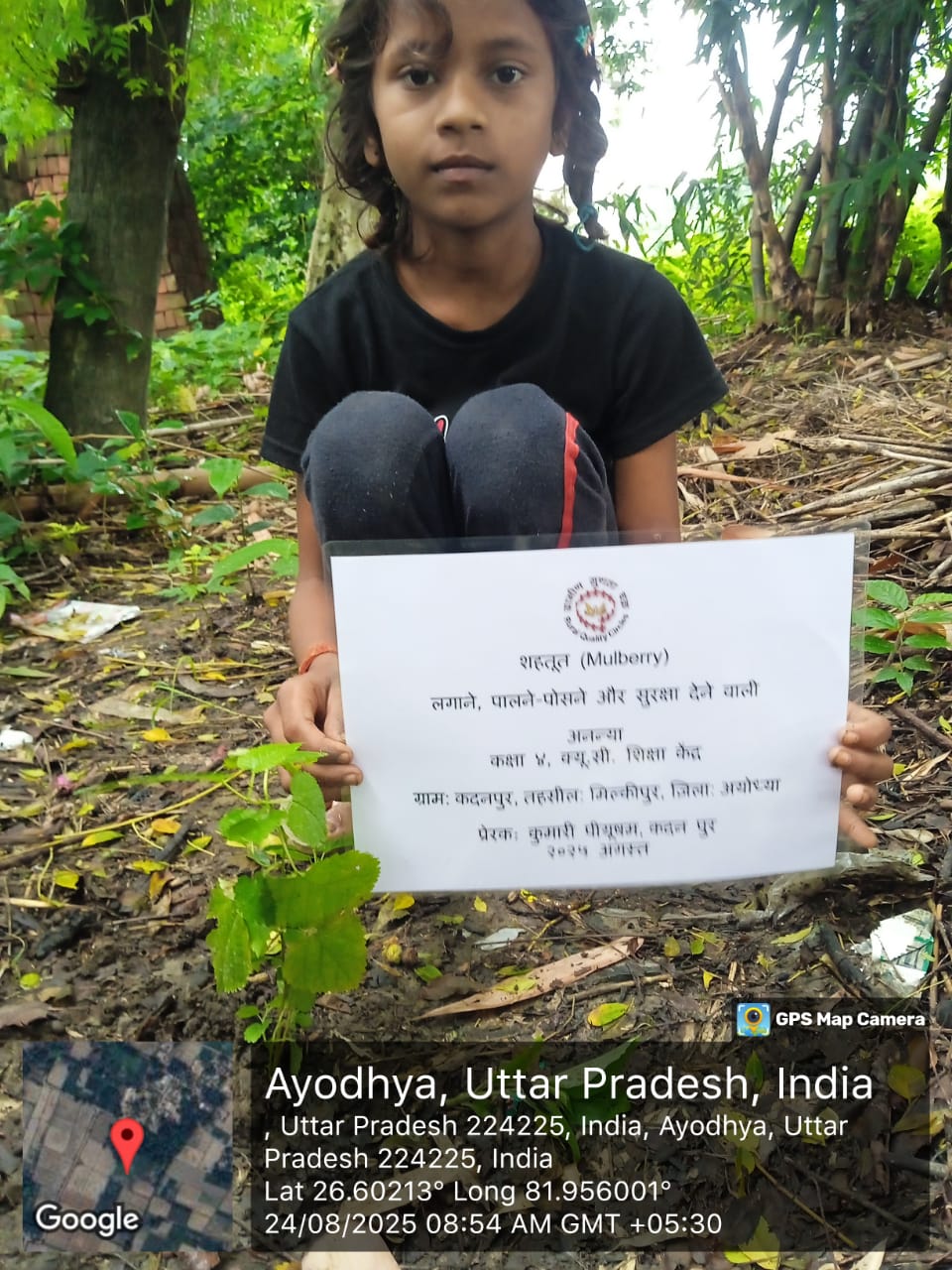 Mulberry (शहतूत) Tree Taken Care By: Ananya