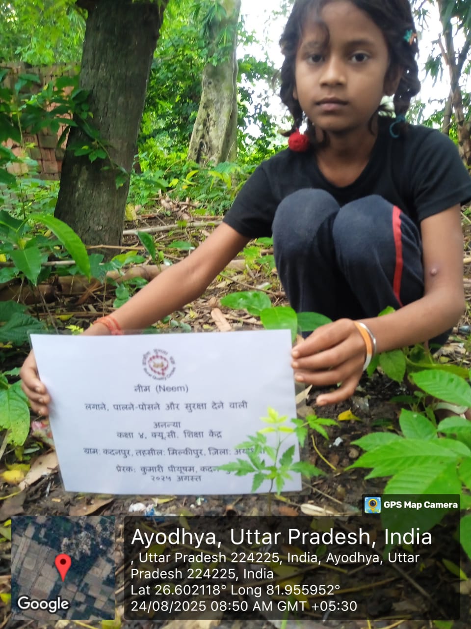 Neem (नीम) Tree Taken Care By: Ananya