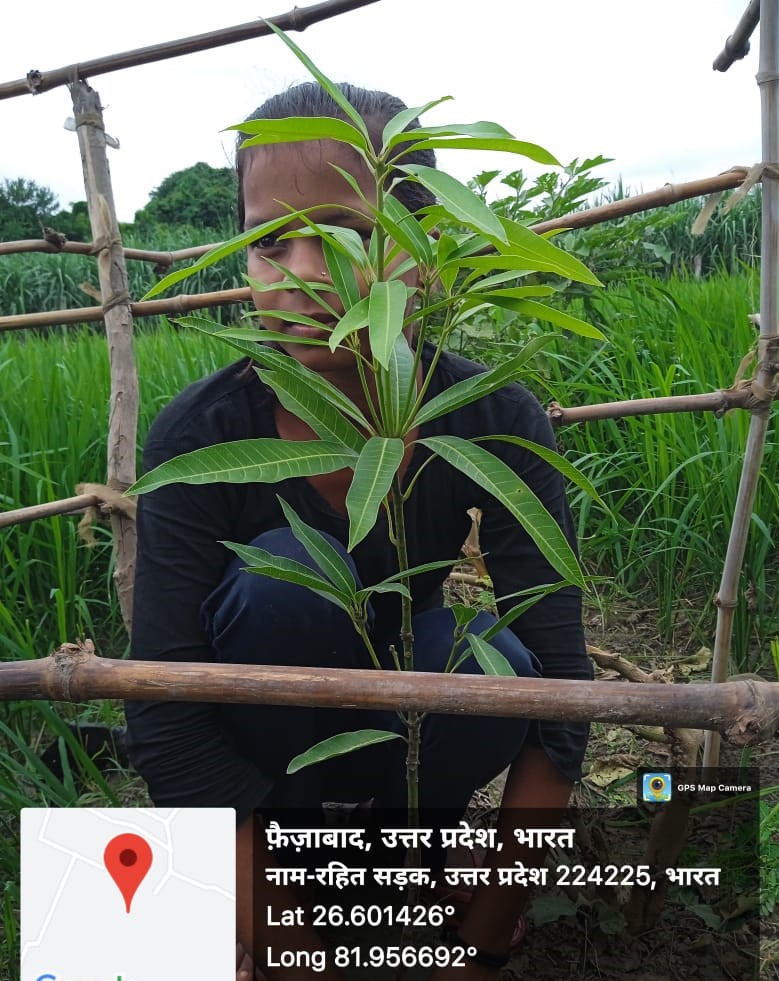 Banyan (बरगद) Tree Taken Care By: Priya