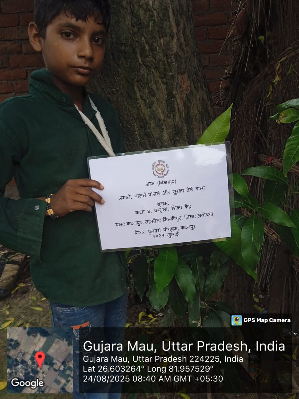 Mango (आम) Tree Taken Care By: Shubham