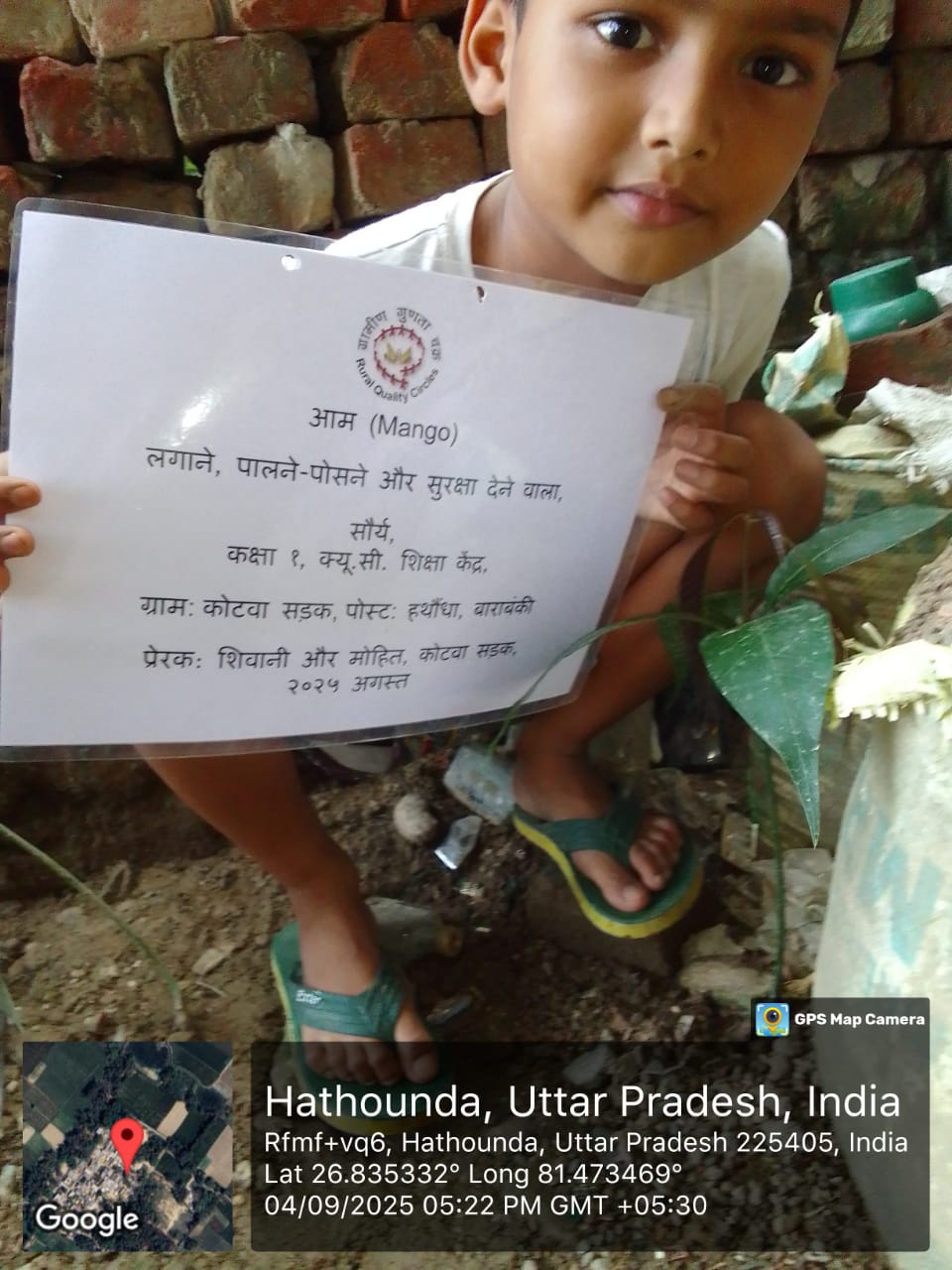 Mango (आम) Tree Taken Care By: Saurya