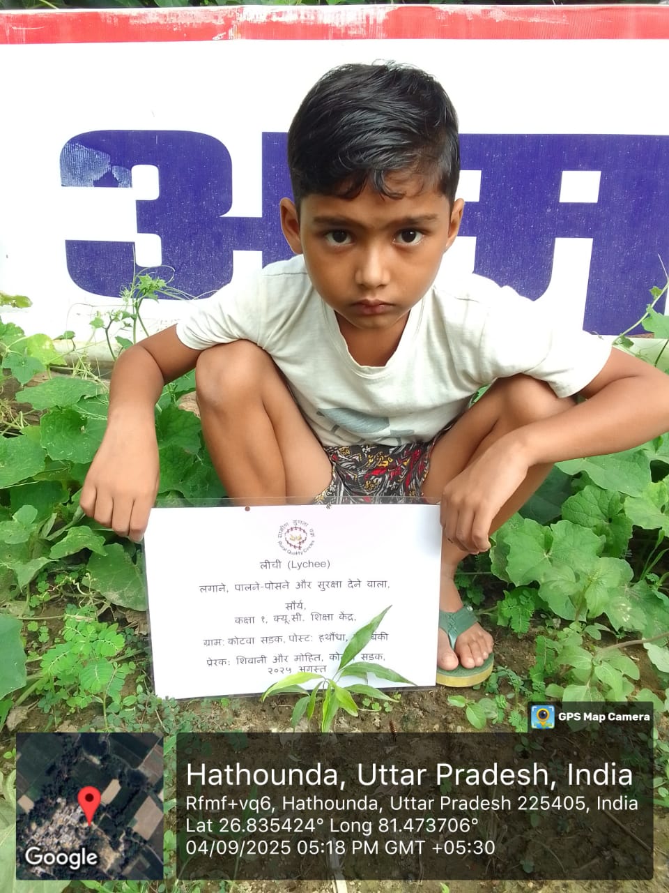 Lychee (लीची) Tree Taken Care By: Shaurya