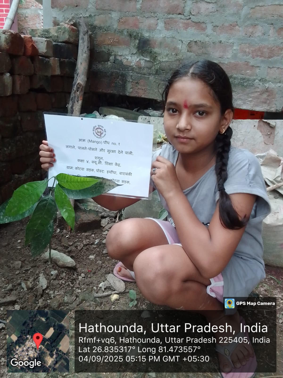 Mango (आम) Tree Taken Care By: Shagun