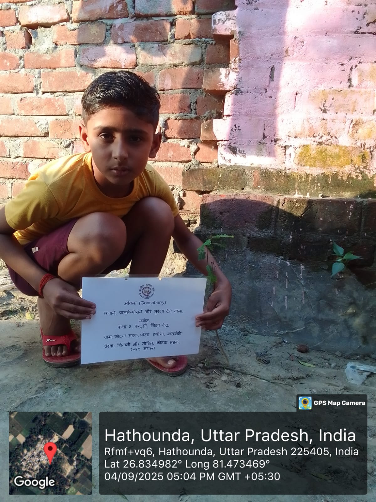 Gooseberry Phyllanthus Emblica (आंवला) Tree Taken Care By: Mayank