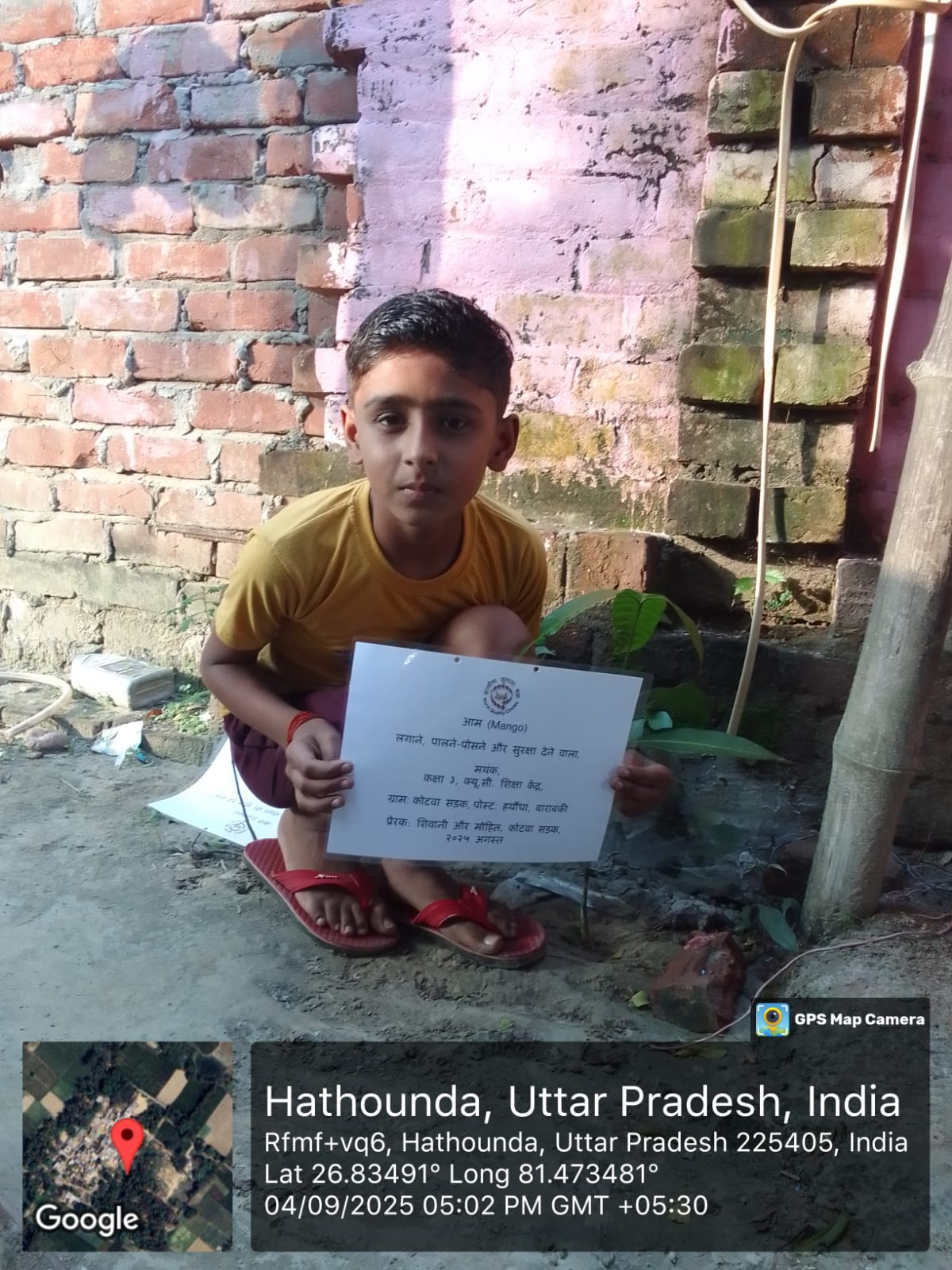 Mango (आम) Tree Taken Care By: Mayank