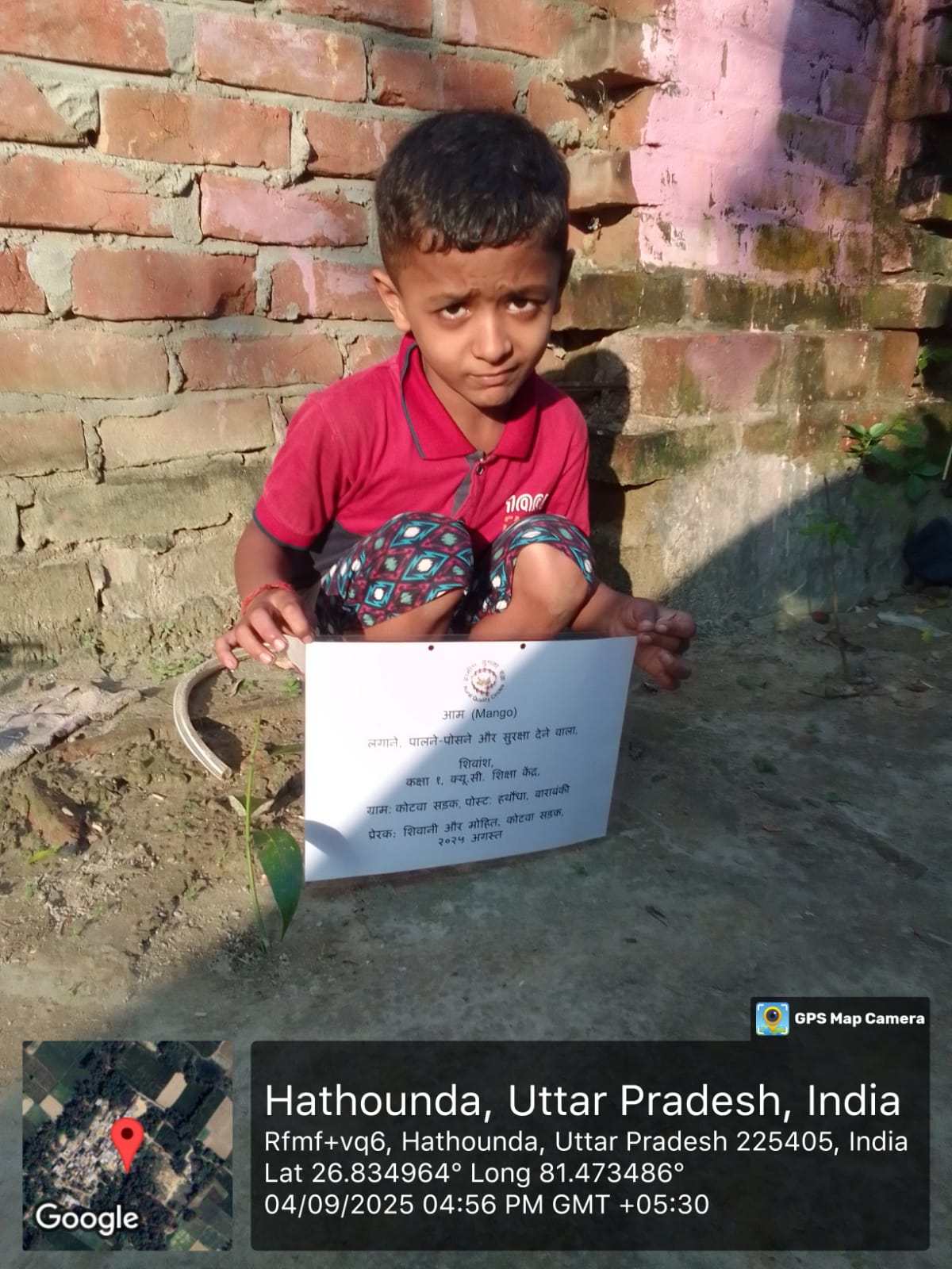 Mango (आम) Tree Taken Care By: Shivansh