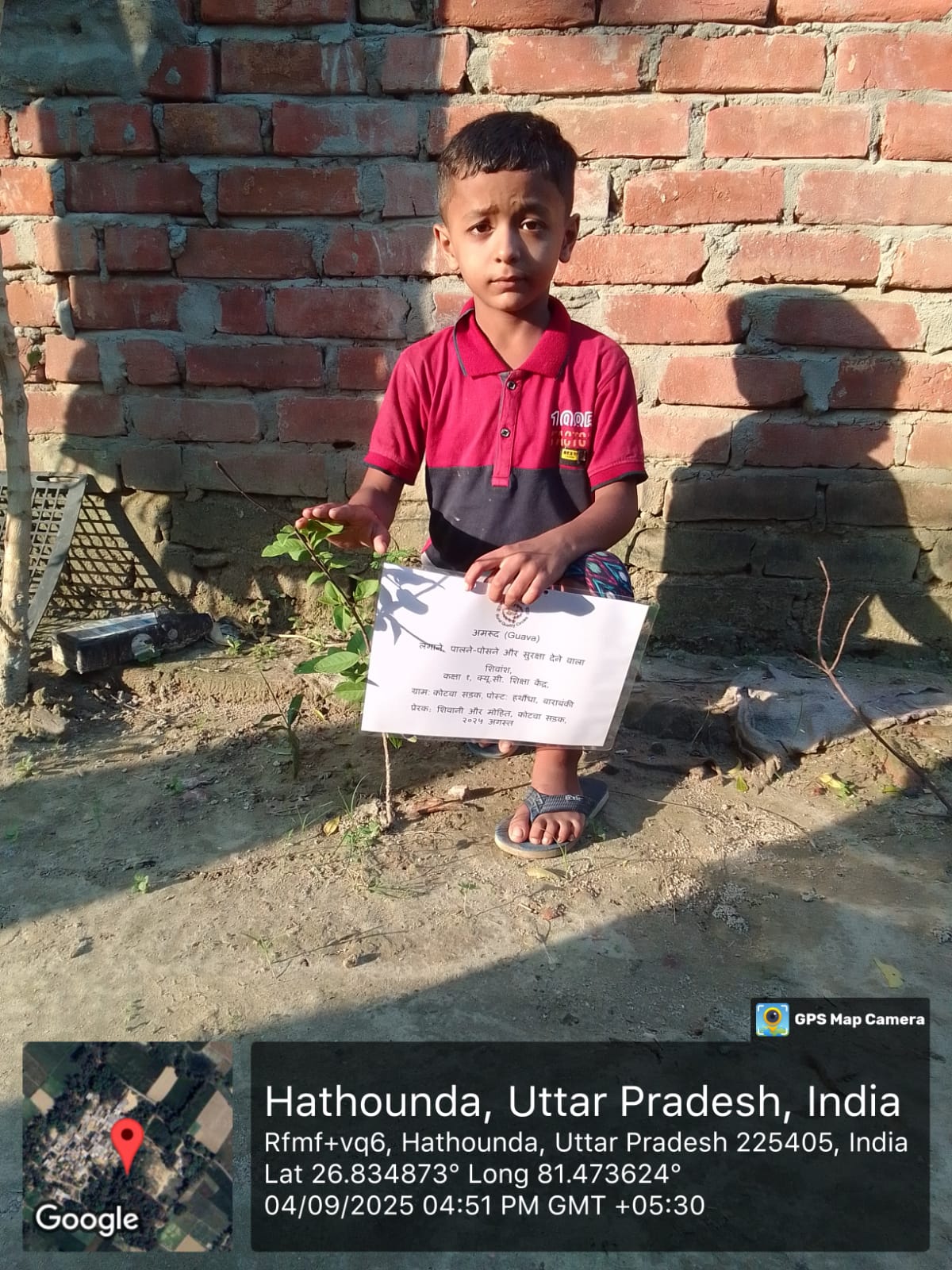 Guava (अमरूद) Tree Taken Care By: Shivansh