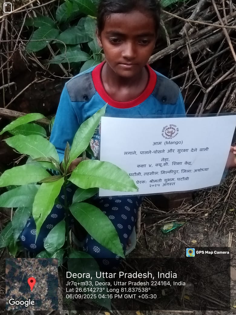 Mango (आम) Tree Taken Care By: Neha