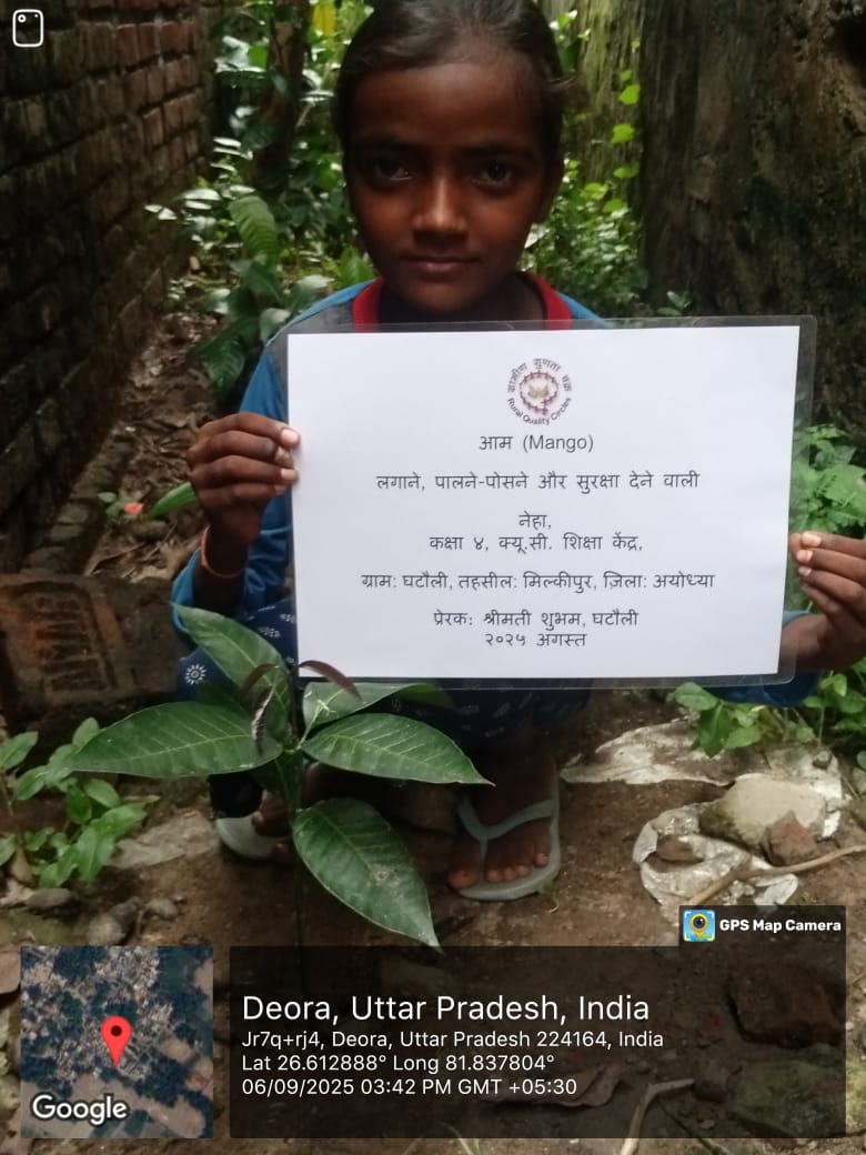 Mango (आम) Tree Taken Care By: Neha