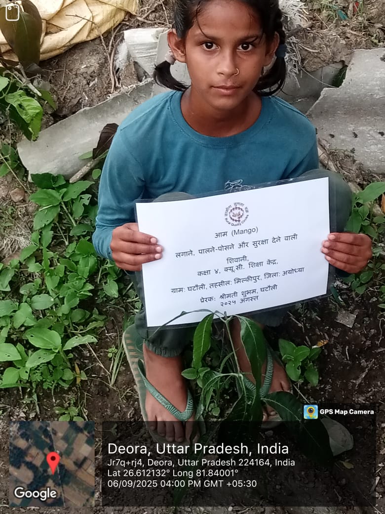 Mango (आम) Tree Taken Care By: Shivani