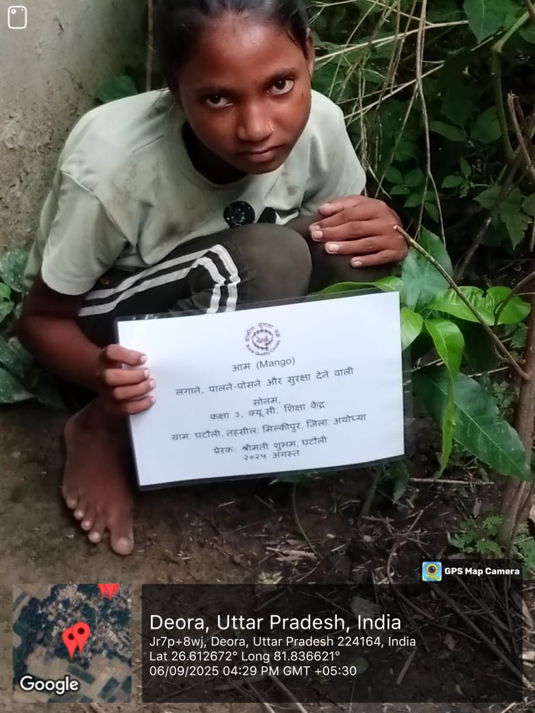 Mango (आम) Tree Taken Care By: Sonam