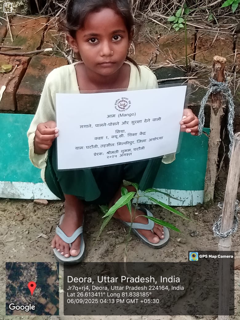 Mango (आम) Tree Taken Care By: Shiya