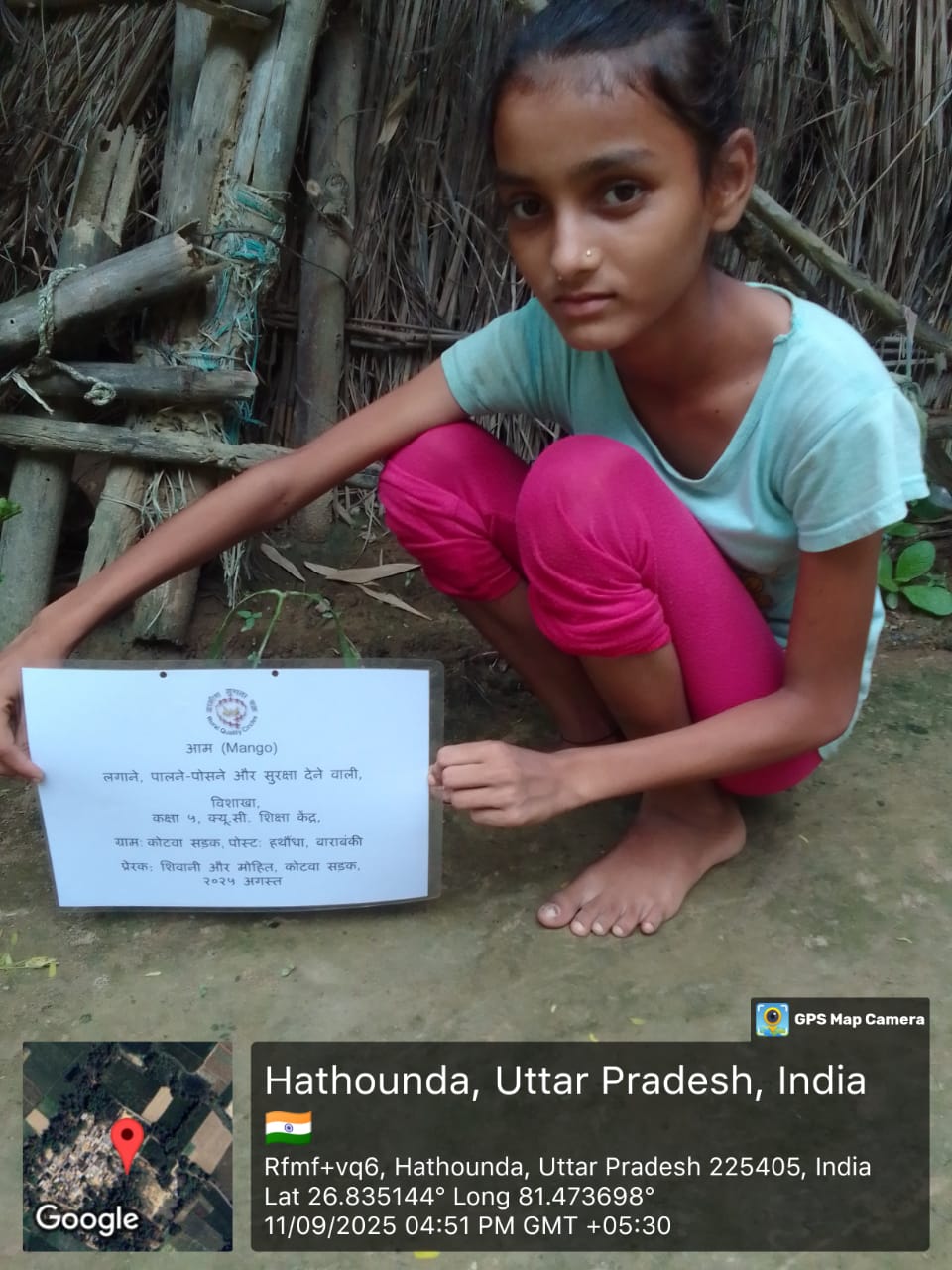 Mango (आम) Tree Taken Care By: Vishakha