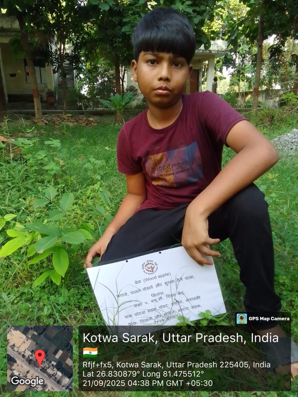 Wood Apple (बेल) Tree Taken Care By: Sitansh