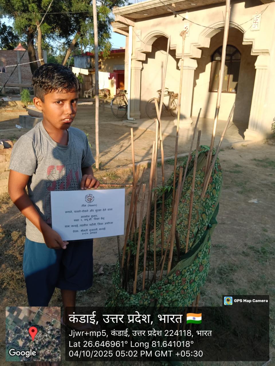 Neem (नीम) Tree Taken Care By: Anmol