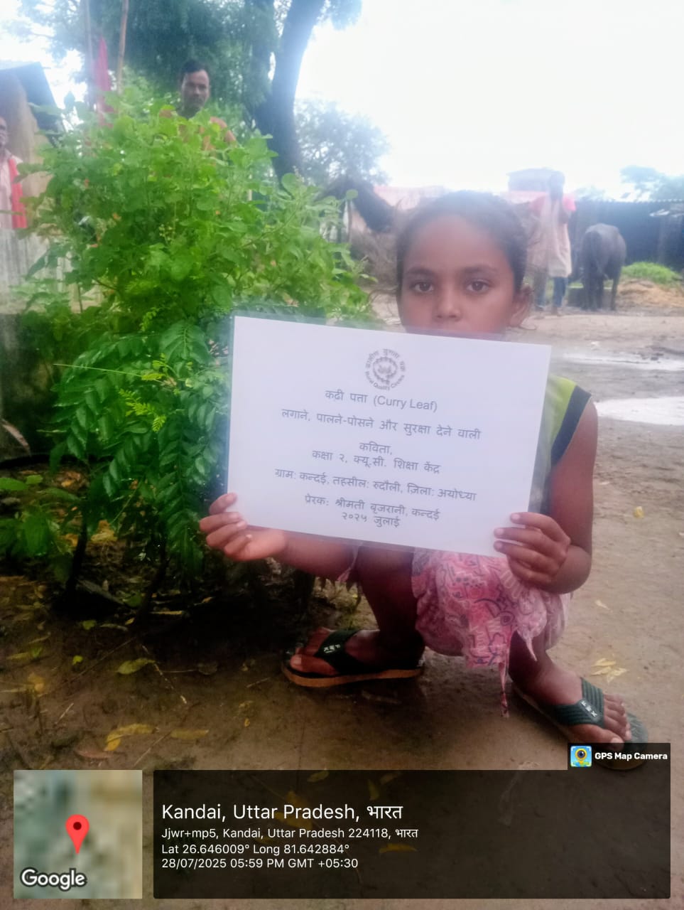 Sweet Neem (मीठा नीम) Tree Taken Care By: Kavita