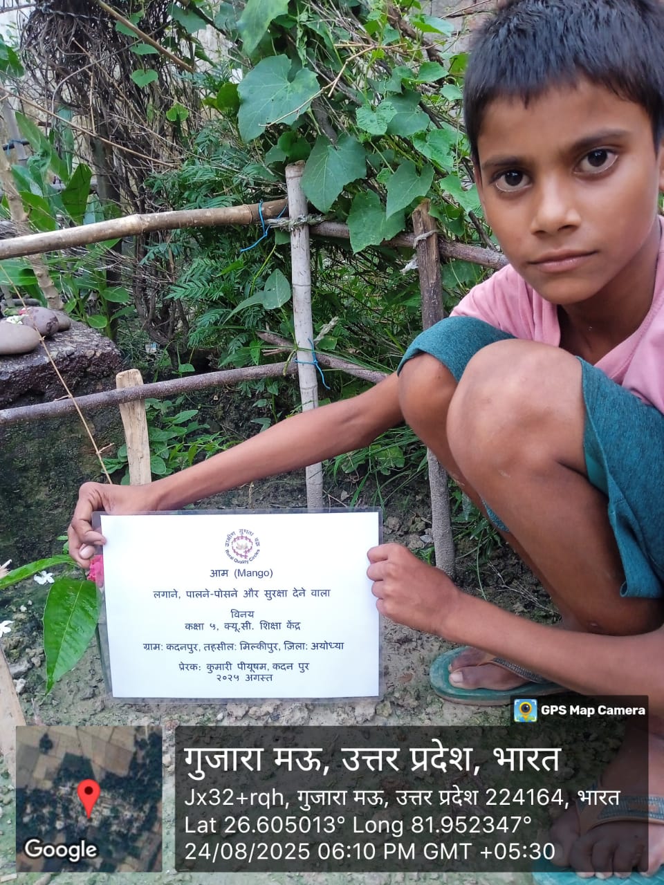 Mango (आम) Tree Taken Care By: Vinay