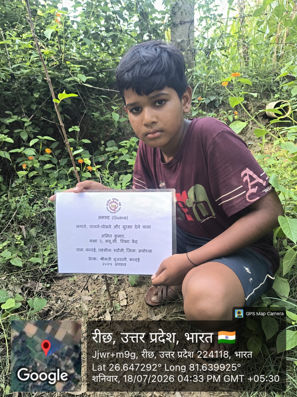 Guava (अमरूद) Tree Taken Care By: Amit Kumar