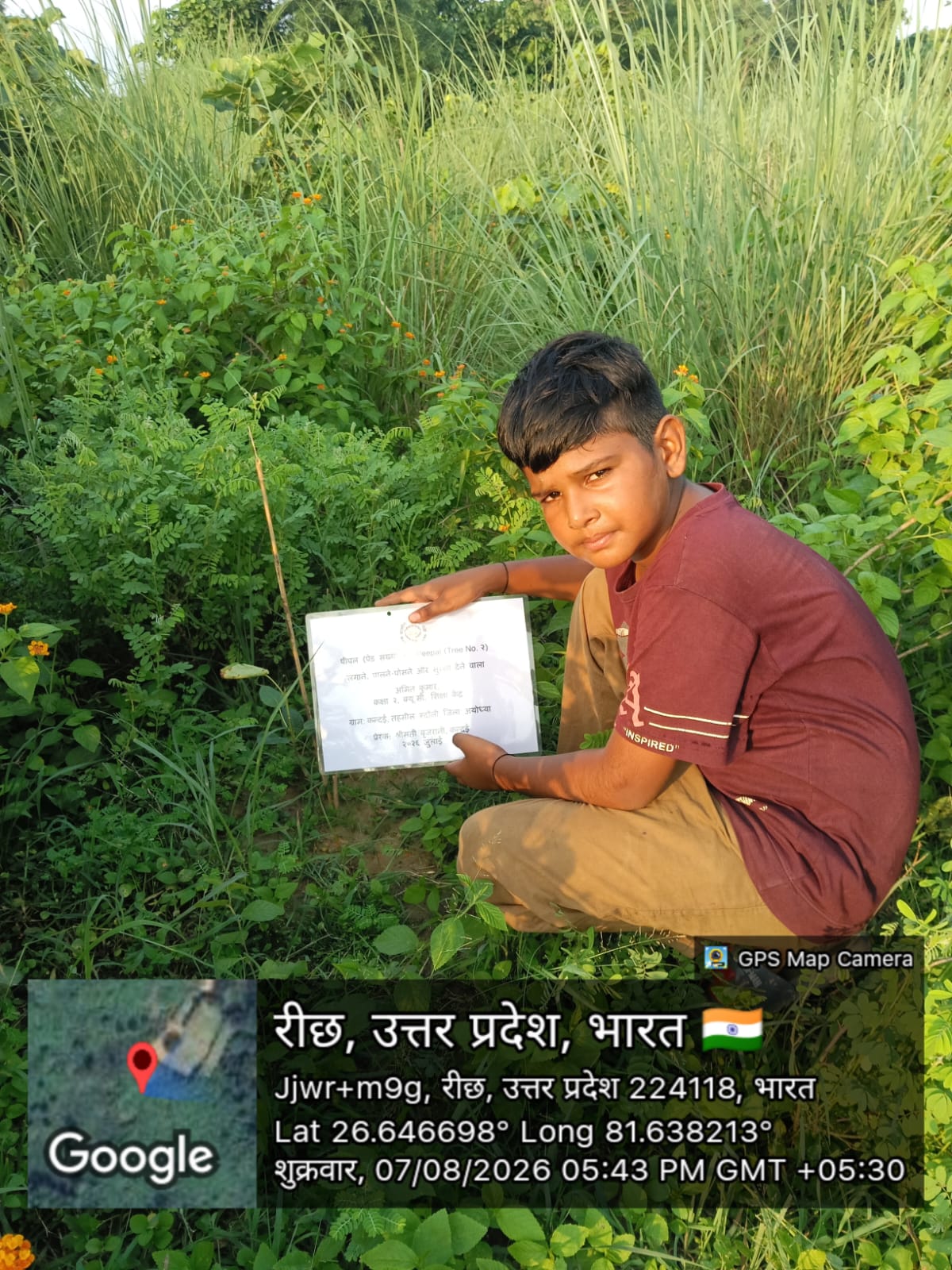 Peepal (पीपल) Tree Taken Care By: Amit Kumar