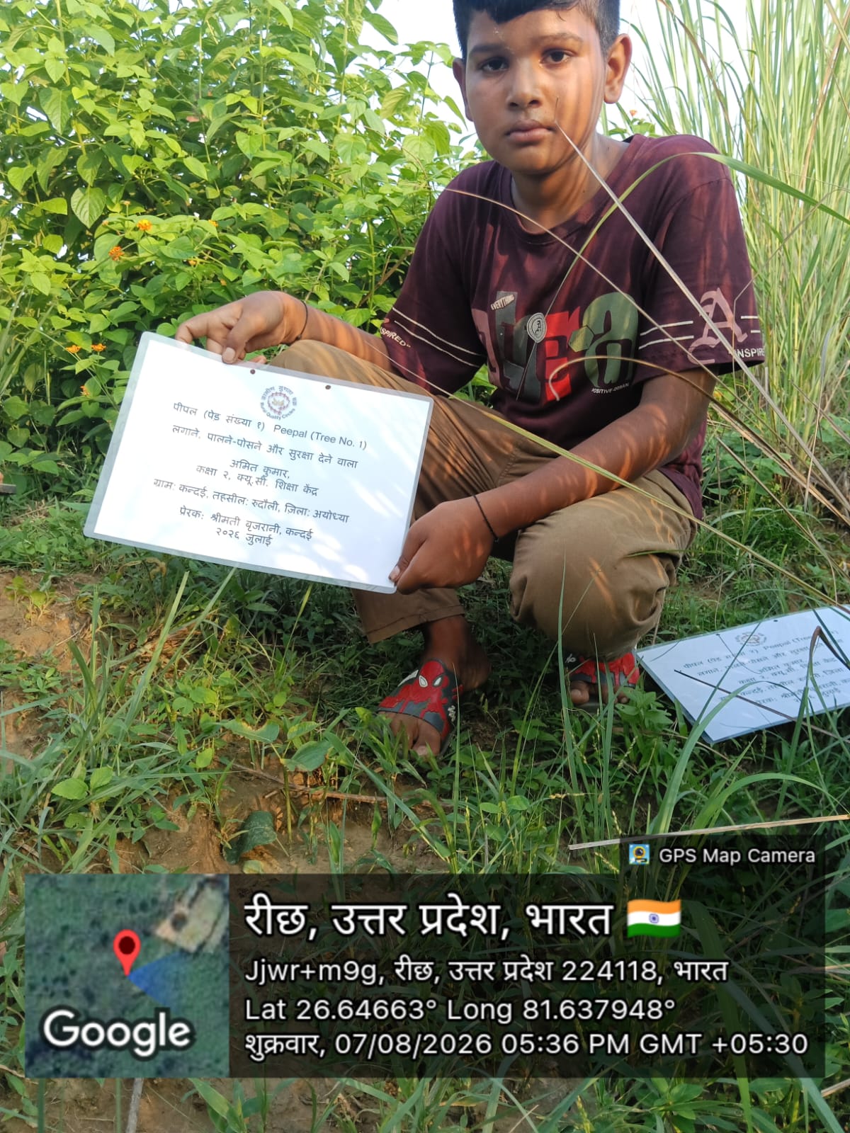 Peepal (पीपल) Tree Taken Care By: Amit Kumar