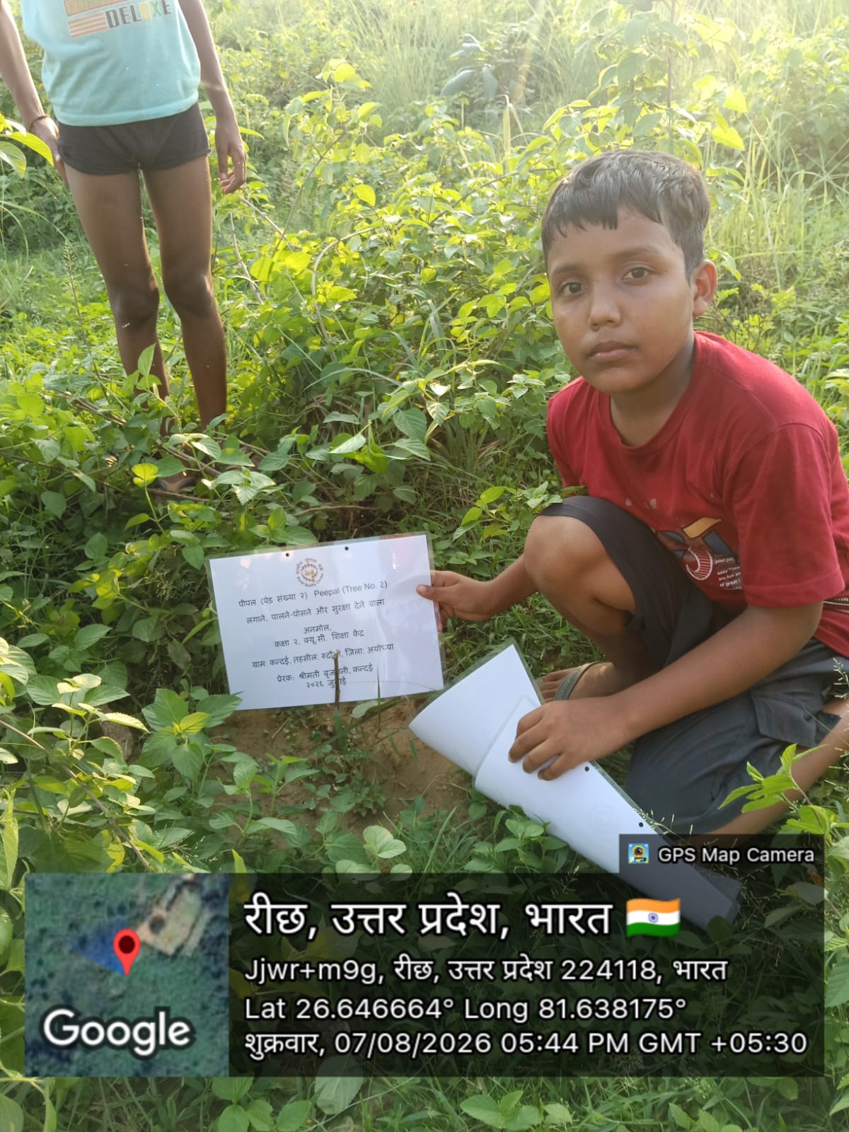 Peepal (पीपल) Tree Taken Care By: Anmol