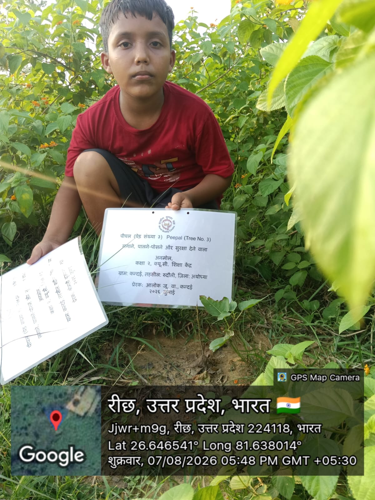 Peepal (पीपल) Tree Taken Care By: Anmol
