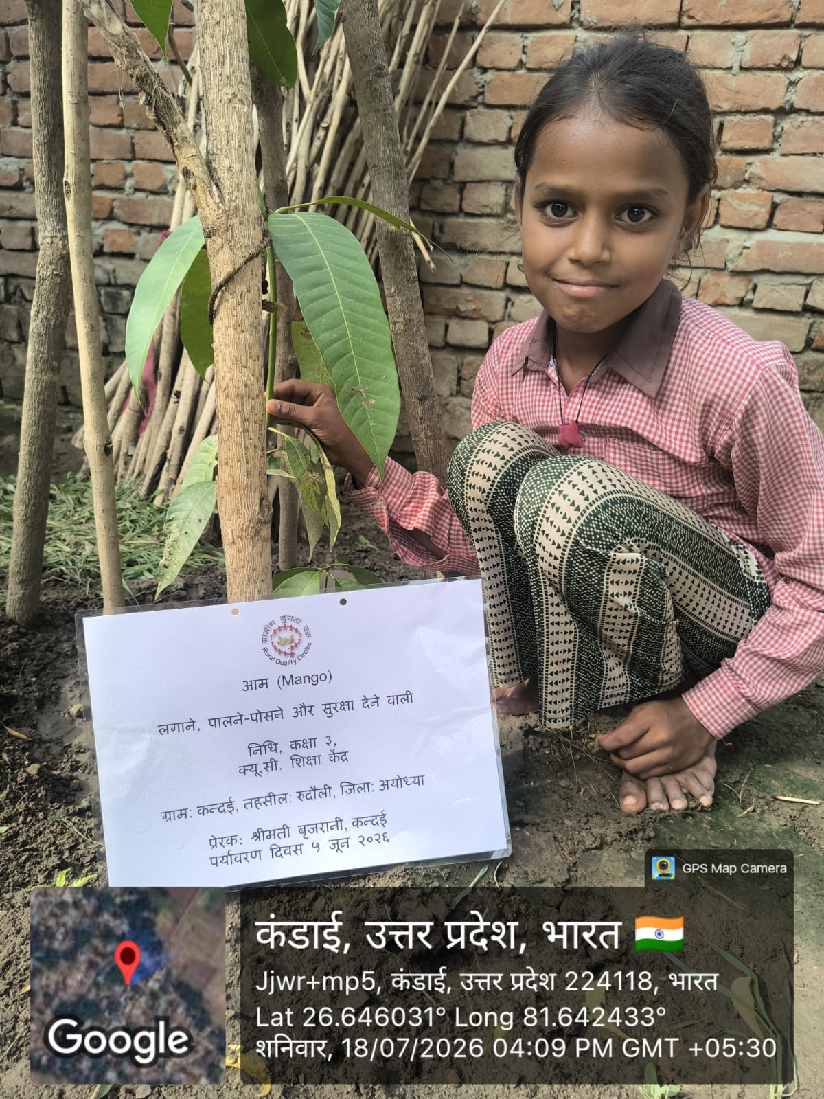 Mango (आम) Tree Taken Care By: Nidhi