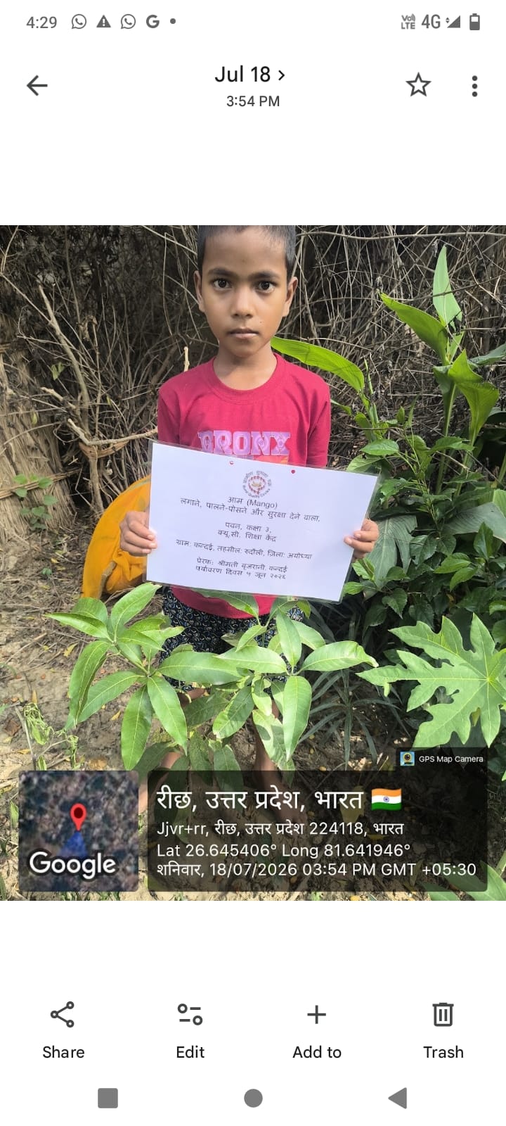 Mango (आम) Tree Taken Care By: Pawan