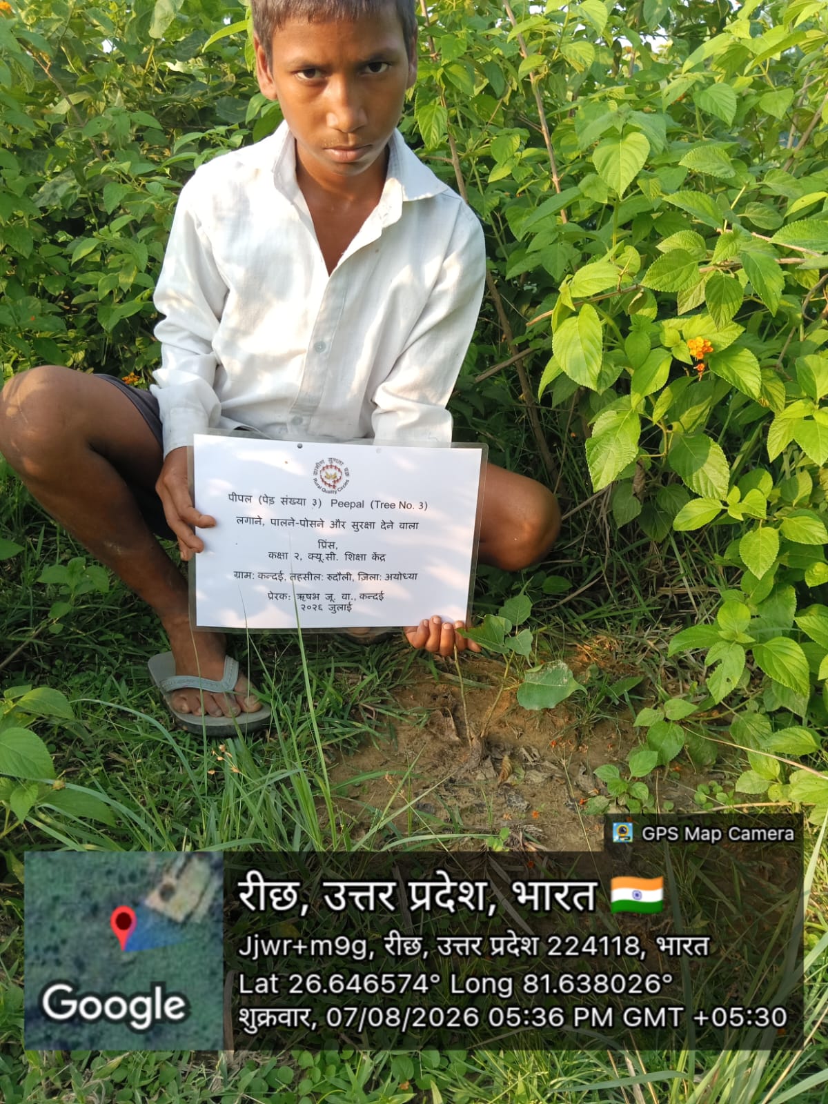 Peepal (पीपल) Tree Taken Care By: Prince