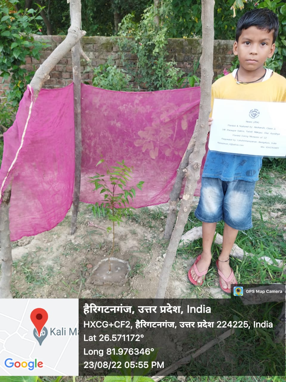 Neem (नीम) Tree Taken Care By: Akshansh