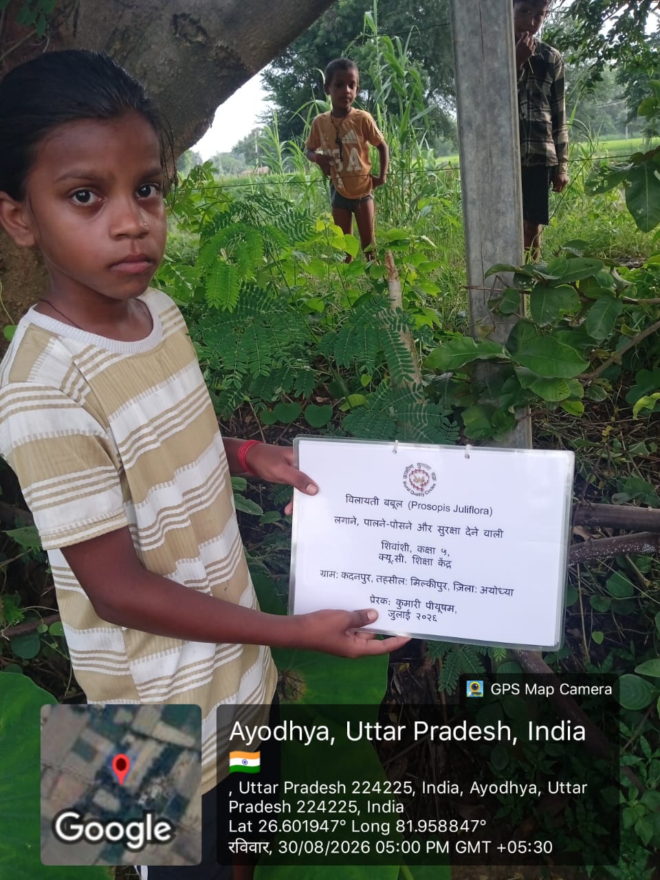 Acacia (बबूल) Tree Taken Care By: Shivanshi
