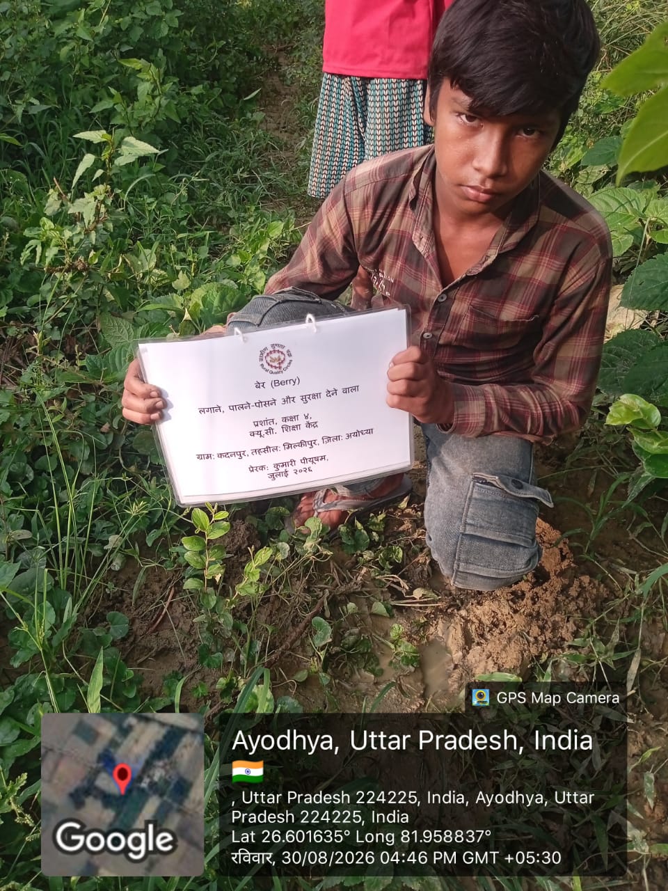 Berry (बेर) Tree Taken Care By: Prashant