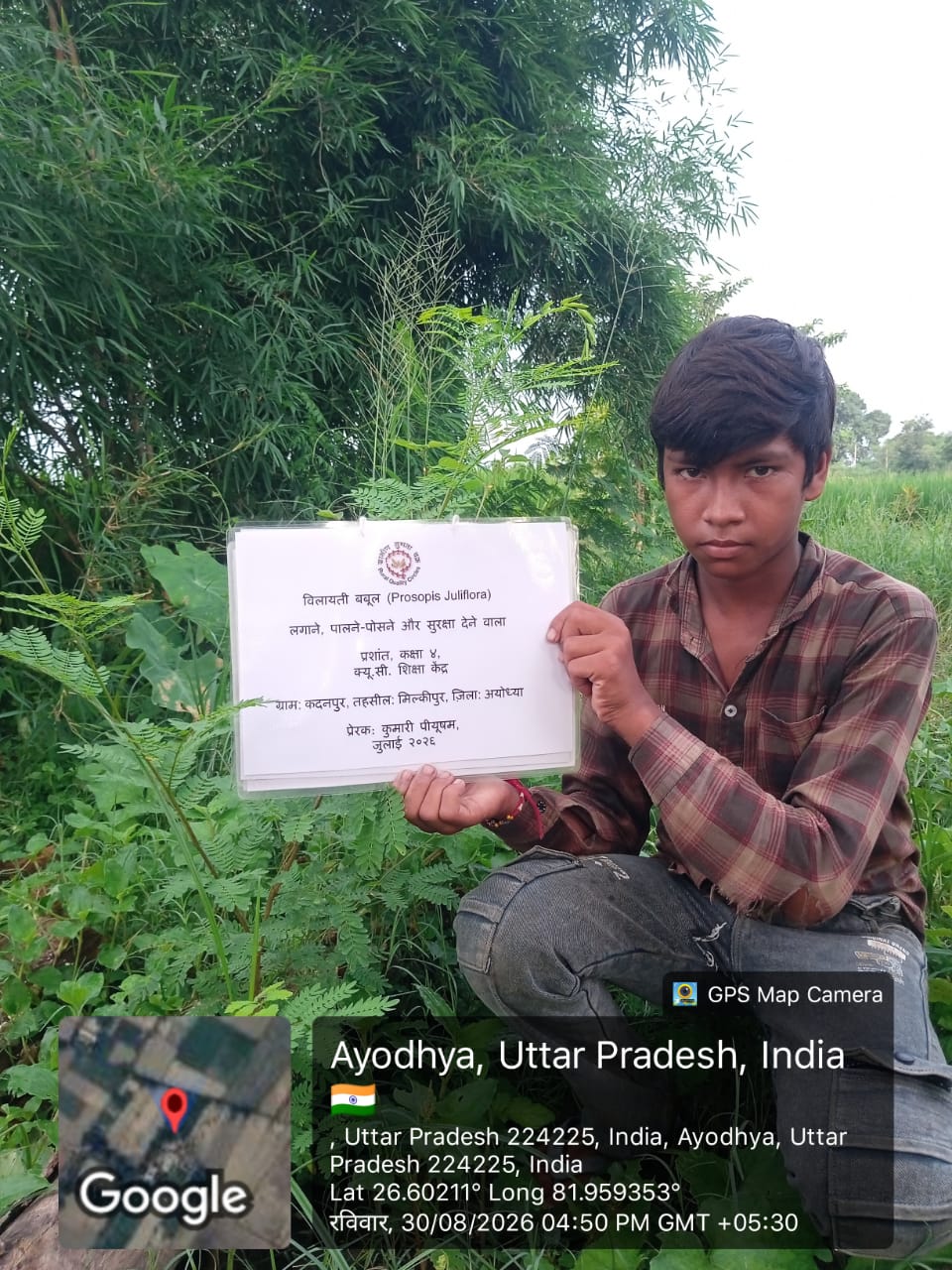 Acacia (बबूल) Tree Taken Care By: Prashant