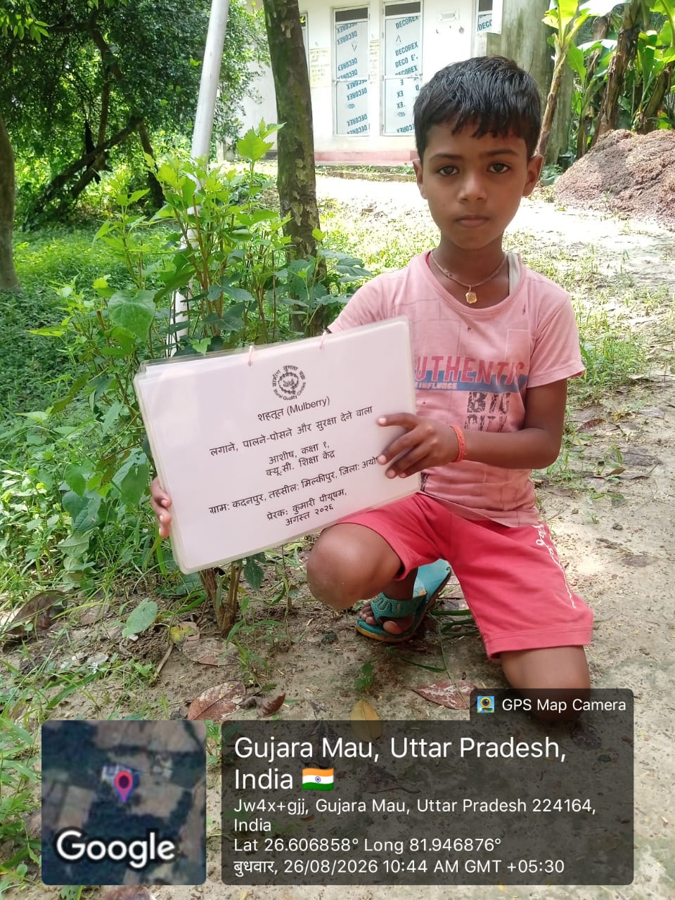 Mulberry (शहतूत) Tree Taken Care By: Ashish