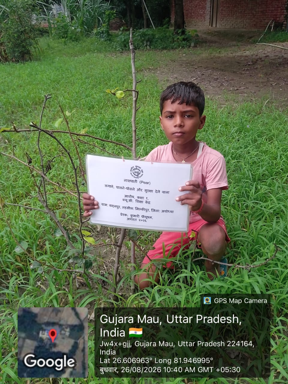 Pear (नाशपाती) Tree Taken Care By: Ashish