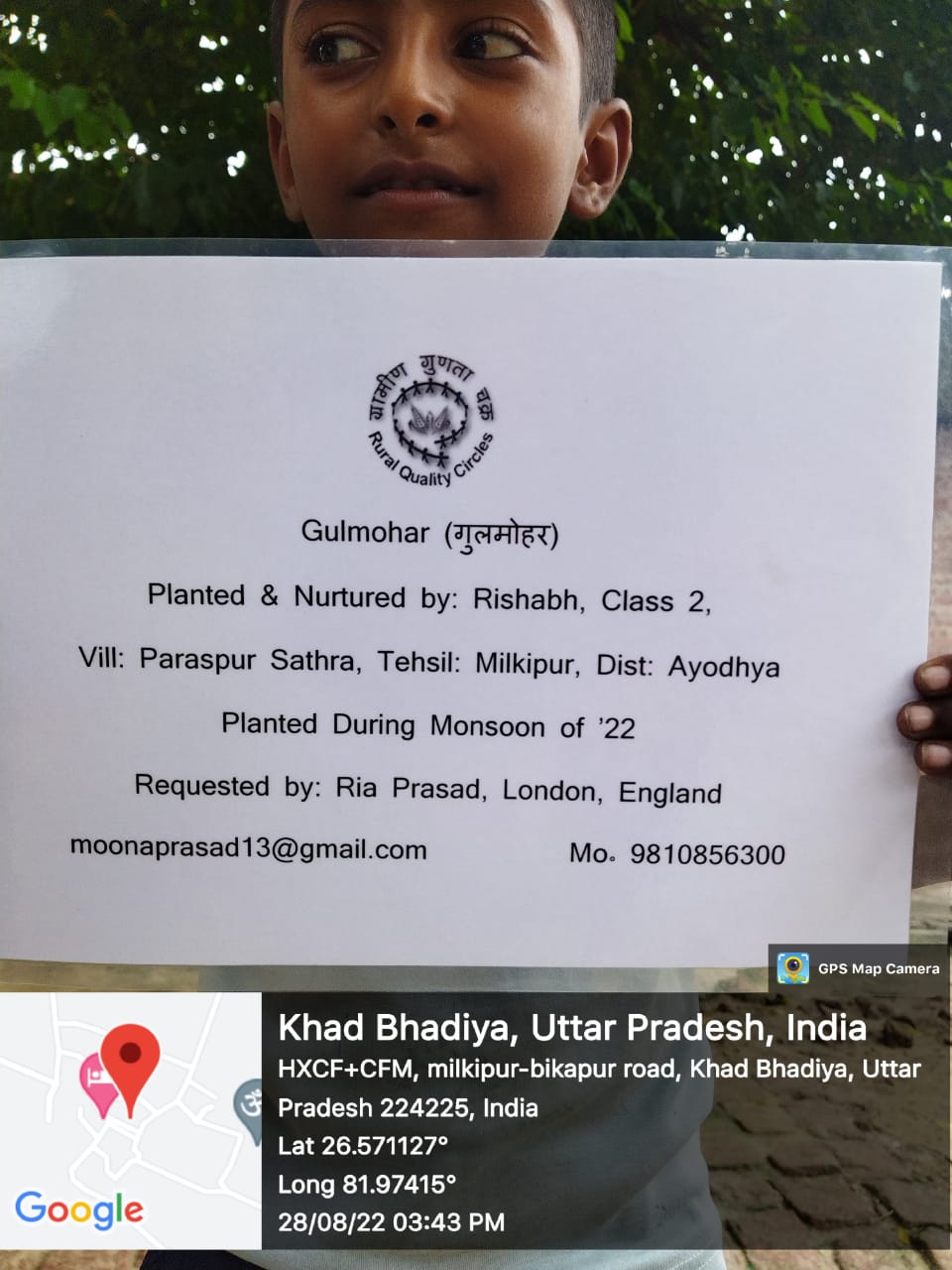 Gulmohar (गुलमोहर) Tree Taken Care By: Rishabh